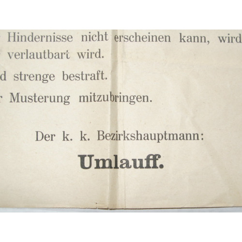 k.k. Bezirkshauptmannschaft Gmünd Landsturmmusterung W Gmünd am 2. April 1918