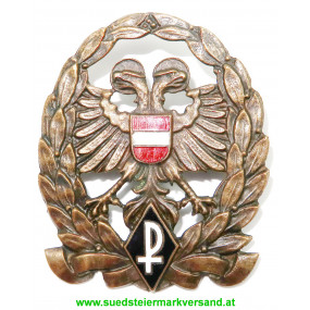 Großes Bronzenes Ehrenzeichen der Ostmärkischen Sturmscharen